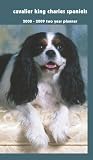 Cavalier King Charles Spaniels 2008 - 2009 Pocket Planner