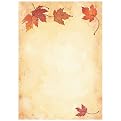 Fall Leaves Invitation