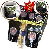 WhiteOak Photography Animal Prints - Squirrel Eating Nut Squirrel in Tree - Coffee Gift Baskets - Coffee Gift Basket