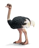 Eigenschaften Schleich 14325 / Schleich 14325 - Strauß