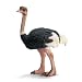 Schleich Ostrich