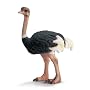 Schleich Ostrich