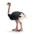 Schleich Ostrich