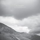 All Is Wild,All Is Silent Remixes [Vinyl LP]