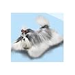 Shih Tzu Large 12" Plush Yomiko Realistic Stuffed Animal Dog