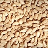 Scarlett Sunflower Chips Wild Bird Seed