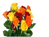 ROSES: Everything You Always Wanted Know About Them But Afraid to Ask 41Kk4cuBbvL. SL160 ROSES: Everything You Always Wanted Know About Them But Afraid to Ask