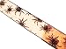 Halloween Wired Orange and Black Ribbon with Spider Pattern 2.5