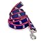 Boston Red Sox Dog Leash - Size Small