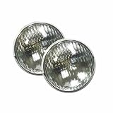 Intermatic #LV500 11W Sealed Flood Lamp