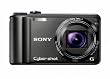 Sony Cyber-shot DSC-H55 14.1MP Digital Camera with 10x Wide Angle Optical Zoom with SteadyShot