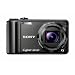 Sony Cyber-shot DSC-H55 14.1MP Digital Camera with 10x Wide Angle Optical Zoom with SteadyShot Image Stabilization and 3.0 inch LCD (Black)