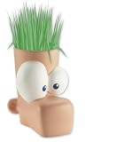 Picture of Character Phineas And Ferb Grow Your Own Ferb
