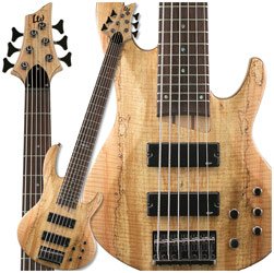 ESP LTD B-206SM 6-String Bass, Spalted Maple