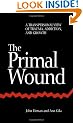 The Primal Wound: Transpersonal View of Trauma, Addiction and Growth (SUNY Series in the Philosophy of Psychology)