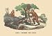 Sporting Goods : Joko - Homme des Bois (Monkey) 24x36 Giclee