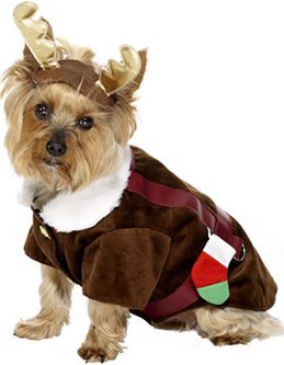 NEW PETS/DOGS REINDEER CHRISTMAS FANCY DRESS COSTUME