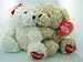 Plush Hershey Kisses Kissing Bears Valentines Day Gift 10