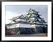Nagoya Castle, Aichi, Japan Places Framed Art Poster Print, 39x31
