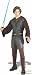 Adult Star Wars Anakin Skywalker Costume