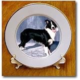 Dogs Border Collie - Border Collie - Plates