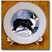 Dogs Border Collie - Border Collie - Plates