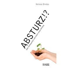 Absturz!?: Vom Schlaganfall und einem neuen Anfang