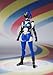 S.H.Figuarts Akiba Blue by Bandai