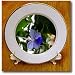 Africia Butterfly Bush Flower Blue Tropical Flower - 8 Inch Porcelain Plate