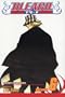 Bleach, Vol. 6