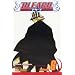Bleach, Vol. 6