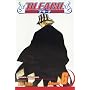 Bleach: v. 6