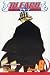 Bleach, Volume 6