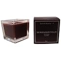 Serendipity 3 Serendipitous Candle