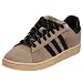 adidas Originals Campus St Shoe