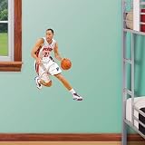 Fathead NBA Detroit Pistons Tayshaun Prince Junior Wall Graphic