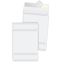 Quality Park R4290 Quality Park Tyvek Open End Exp Envelopes, 12x16x2, White, 100/ctn