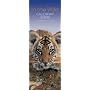 In the Wild Slim Calendar 2008 (Calendar) (Calendar)