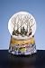 Carriage In Winter Wonderland - Water Globe
