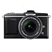 Olympus E-P2 12.3 MP Micro Four Thirds Interchangeable Lens Digital Camera with 14-42mm f/3.5-5.6 Zuiko Digital Zoom Lens (Electronic View Finder not included)