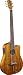Fender Victor Bailey Signature 5-String Acoustic-Electric Bass, Natural