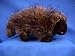 13" Porcupine Plush Stuffed Animal Toy