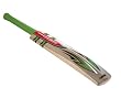 Gray-Nicolls Mens Evo Slayer Cricket Bat