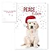 Canopy Street Labrador Love Holiday Card Pack / 25 Cards And Envelopes Pack/Festive Santa Hat Puppy Design With Greeting Inside/Dog Christmas And New Year Cards