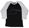 Pink Floyd Dark Side of the Moon Raglan Sleeve Mens T-shirt