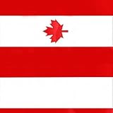 ZAGG ZAGGskins Canada Flag for iPad zgskipao ootny