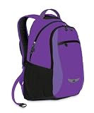 High Sierra Curve Backpack (18.5 x 12.5 x 8.5-Inch, Purple)