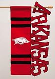 Evergreen Enterprises Arkansas Razorbacks Applique Sculpted Garden Flag