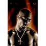 (24x36) Tupac (Fire) Music Poster Print