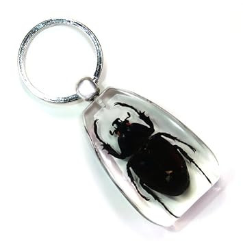 Rhino Beetle Keychain